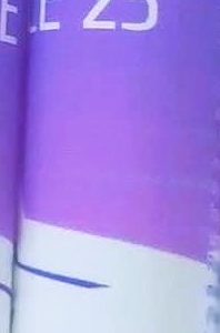 THE SPICE 25 EDP Traveler